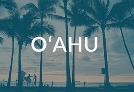Oahu Transportation Options
