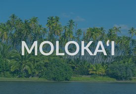 Molokai Transportation Options